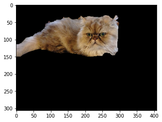 Grabcutsで背景と猫を分離したい