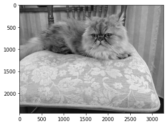 OpenCVのヒストグラムの計算はNumPyより断然速い